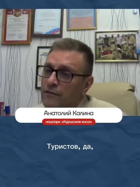 В 2025 году Куршскую косу посетило меньше туристов, чем годом ранее