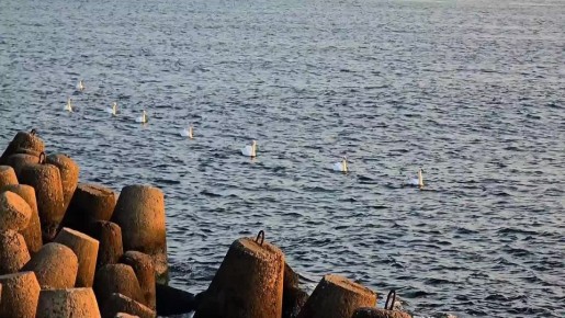 Наша и ваша любимая рубрика: придумай название для видео