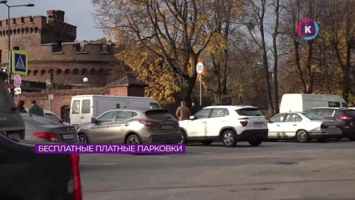 Большинство калининградцев не знают, что платными муниципальными парковками можно пользоваться бесплатно