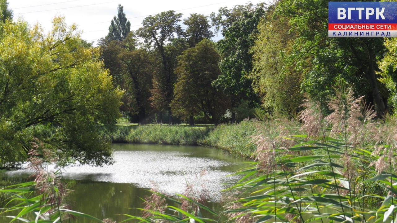 Около 56,6 километров ручьёв и рек расчистят в регионе