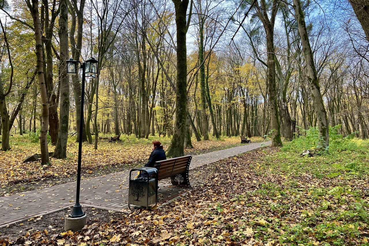 На старом еврейском кладбище в Калининграде открыли главную аллею мемориального парка На старом еврейском кладбище в Калининграде открыли главную аллею мемориального парка