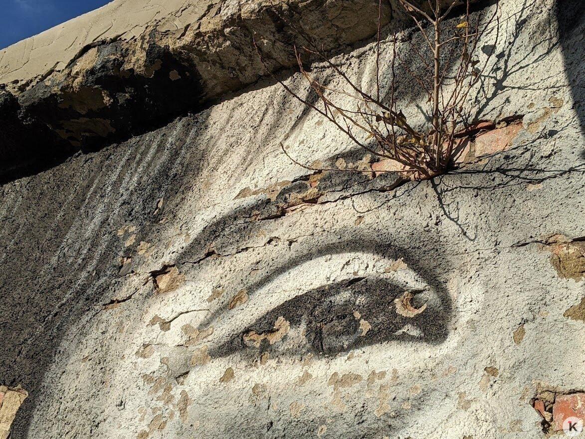 «Солнечная девочка» на 9 Апреля в Калининграде доживает последние недели «Солнечная девочка» на 9 Апреля в Калининграде доживает последние недели