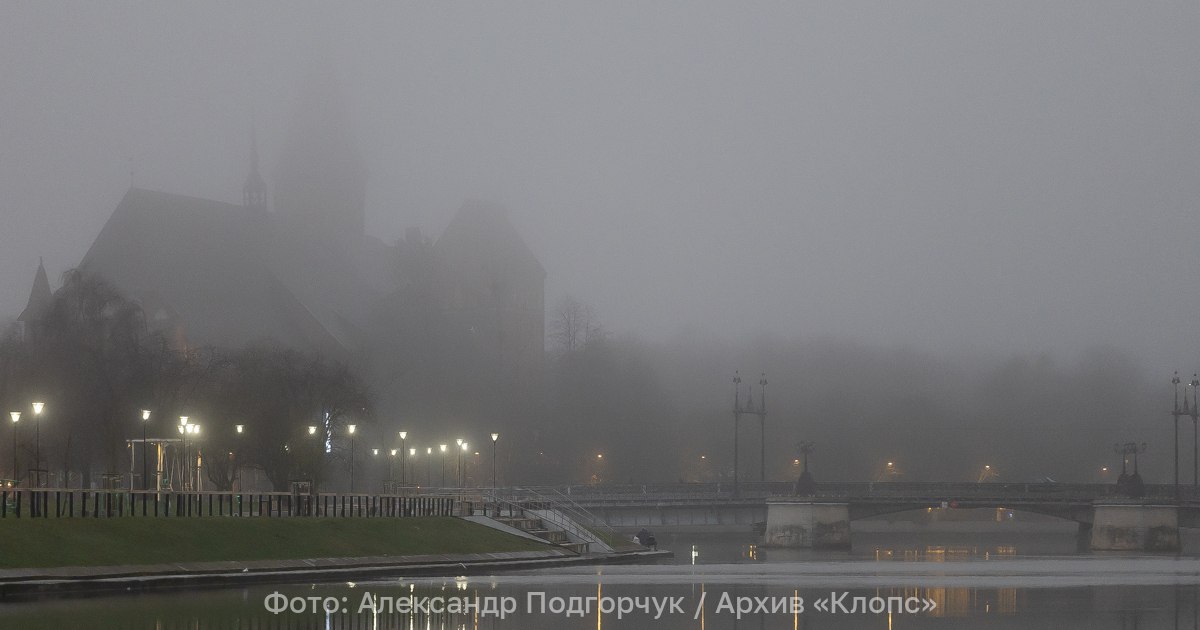 Калининградская область на три часа уйдёт в туман: прогноз погоды на 7 ноября