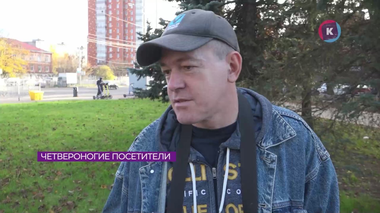 Четверть россиян против кафе и ресторанов, которые разрешают вход c собаками