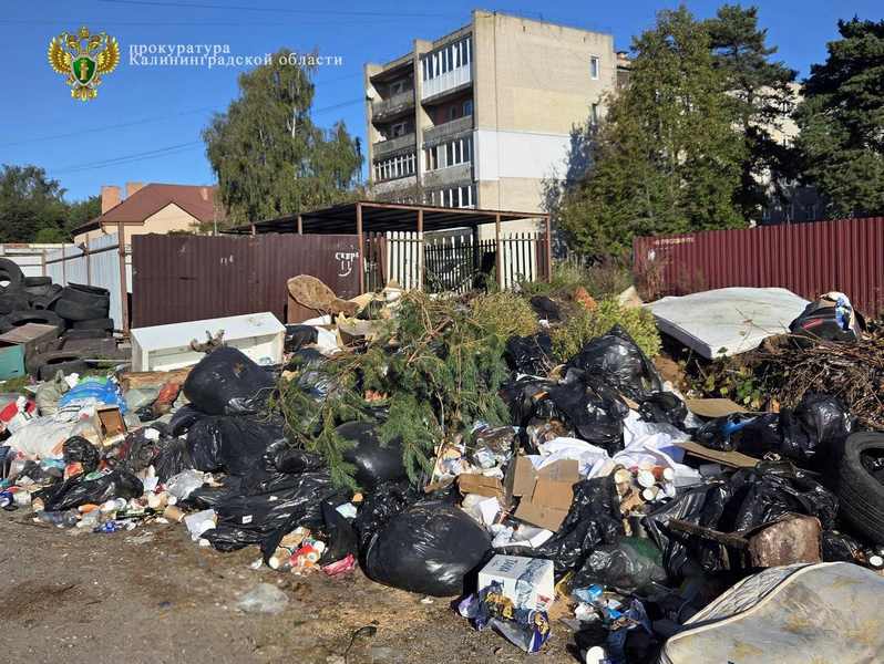 В Светлогорске нашли рычаг для избавления от завалов