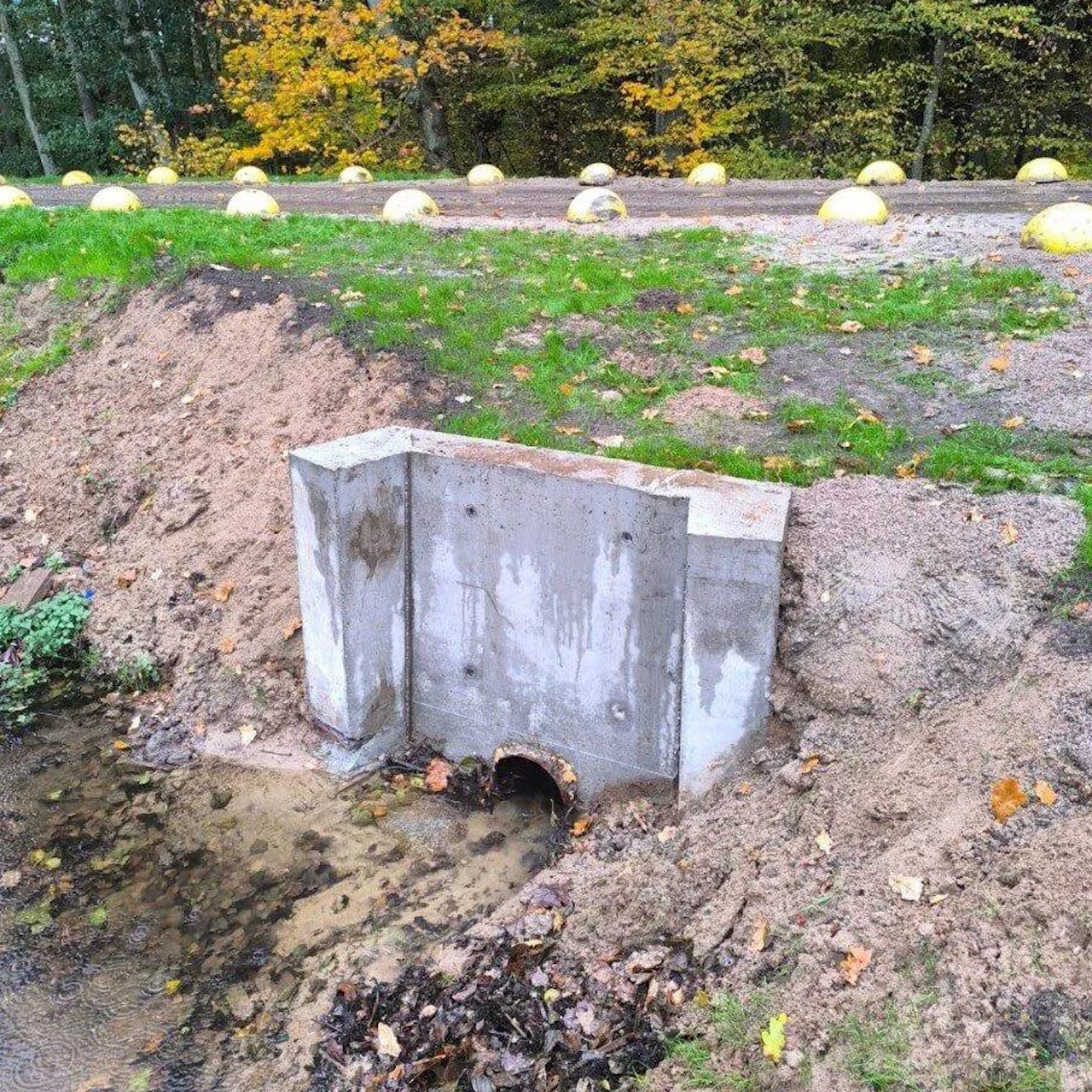 Дамбу «Второго шанхайского озера» привели в порядок и застраховали