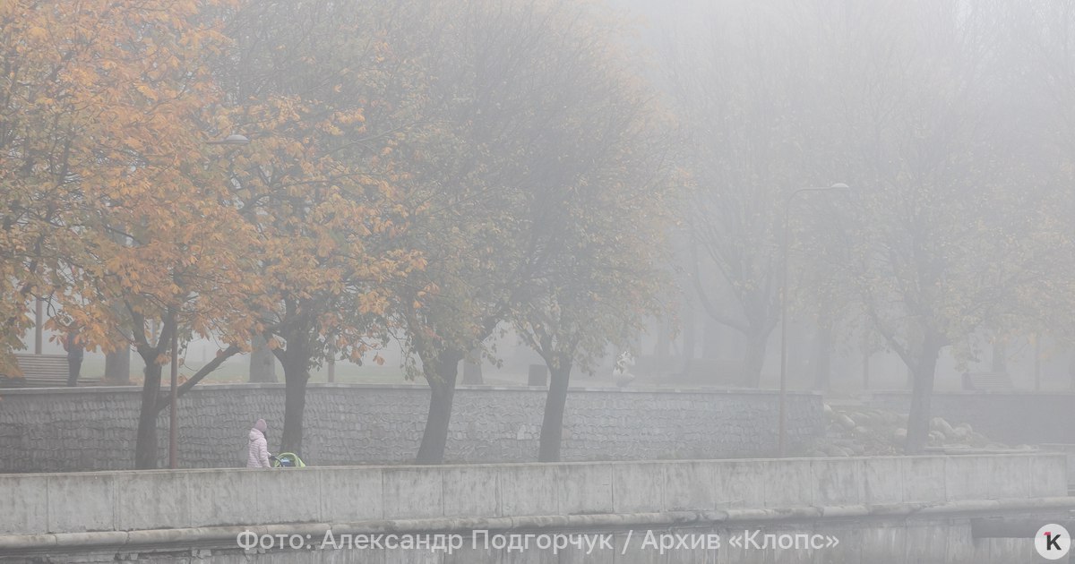 МЧС предупредило о сильном тумане в Калининградской области