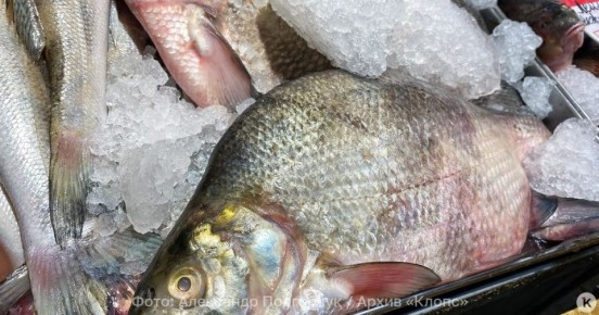 Власти объяснили, кого винить из-за высоких цен на рыбу в Калининграде