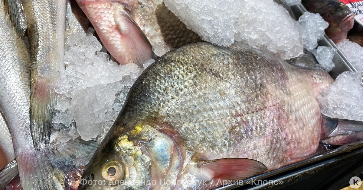 Власти объяснили, кого винить из-за высоких цен на рыбу в Калининграде