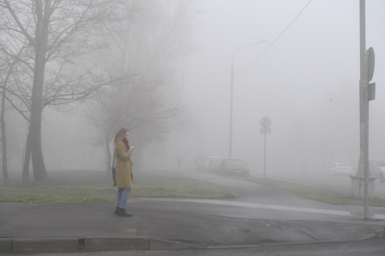 Синоптики обещают калининградцам вполне комфортный день без дождя