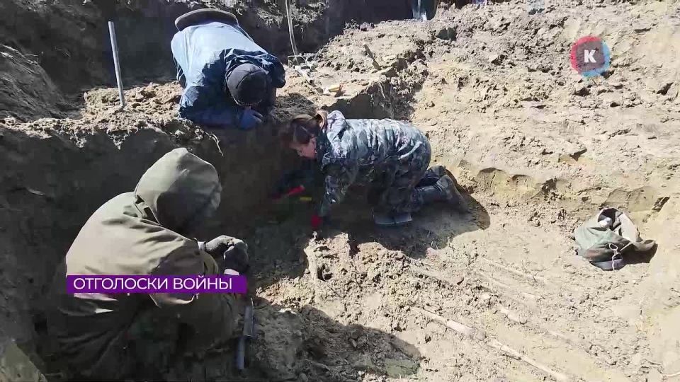 В Калининградской области завершился поисковый сезон