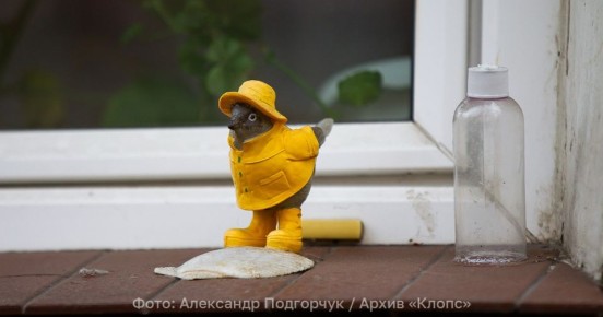 Над всем регионом бессолнечное небо: синоптики рассказали о погоде в Калининграде и области 11 ноября