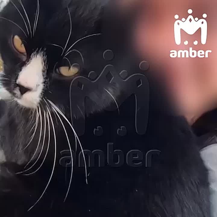 "Ты сама уродка дебильная"