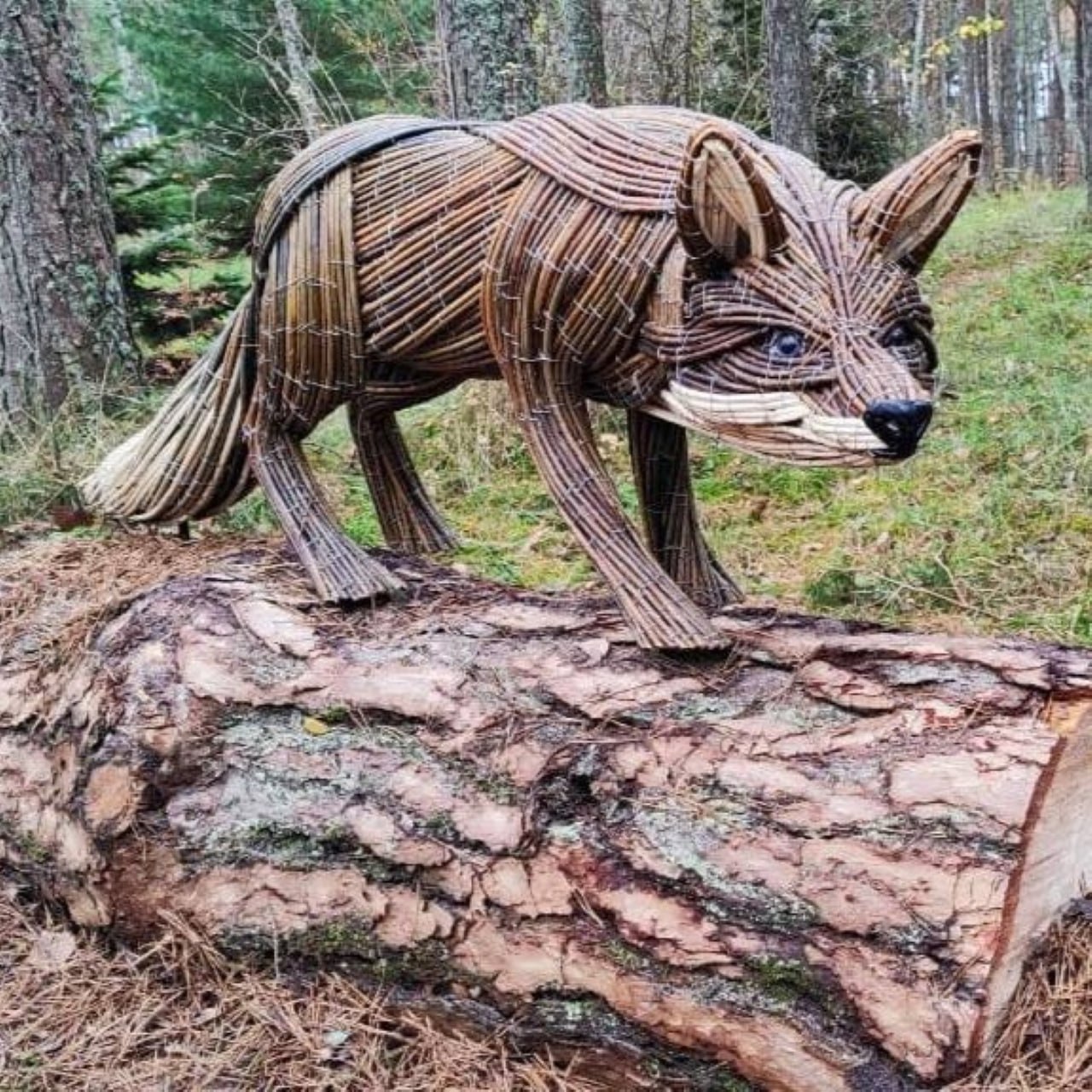 На территории визит-центра национального парка «Куршская коса» появился новый арт-объект — лисица На территории визит-центра национального парка «Куршская коса» появился новый арт-объект — лисица