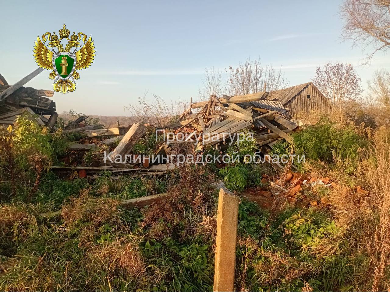 Прокуратура Правдинского района защитила права троих несовершеннолетних, оставшихся без попечения родителей Прокуратура Правдинского района защитила права троих несовершеннолетних, оставшихся без попечения родителей