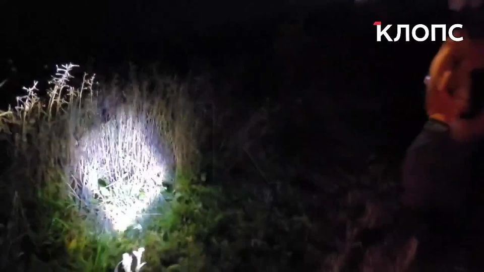 ����������� ��� �����������: ������� ������� ������ ������, ������� �� �������� ������� ����������