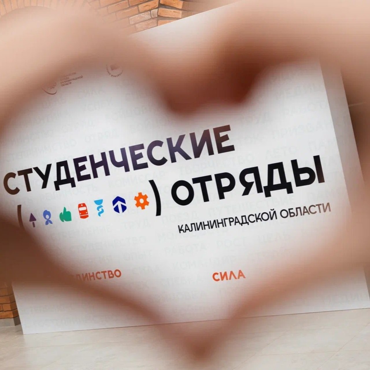 В Калининграде подвели итоги летнего трудового семестра студенческих отрядов В Калининграде подвели итоги летнего трудового семестра студенческих отрядов