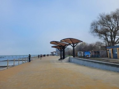 Создана петиция в защиту автора идеи «расстрельных стенок» в Зеленоградске