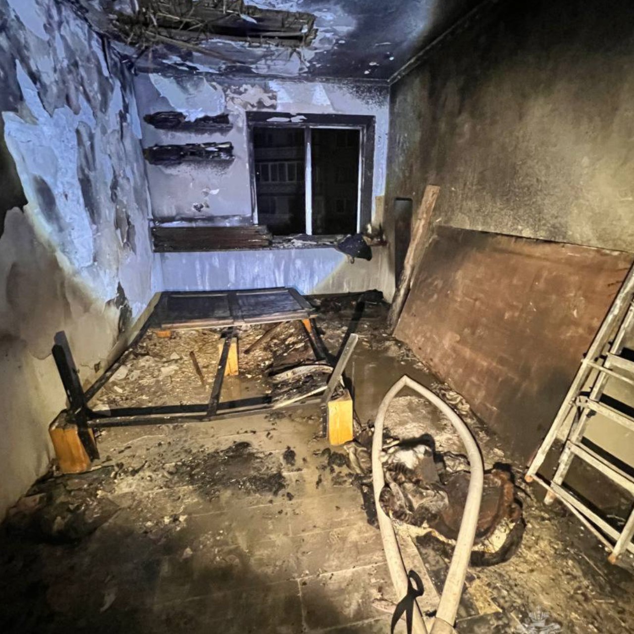 Сотрудники МЧС спасли двух человек на пожаре в Калининграде