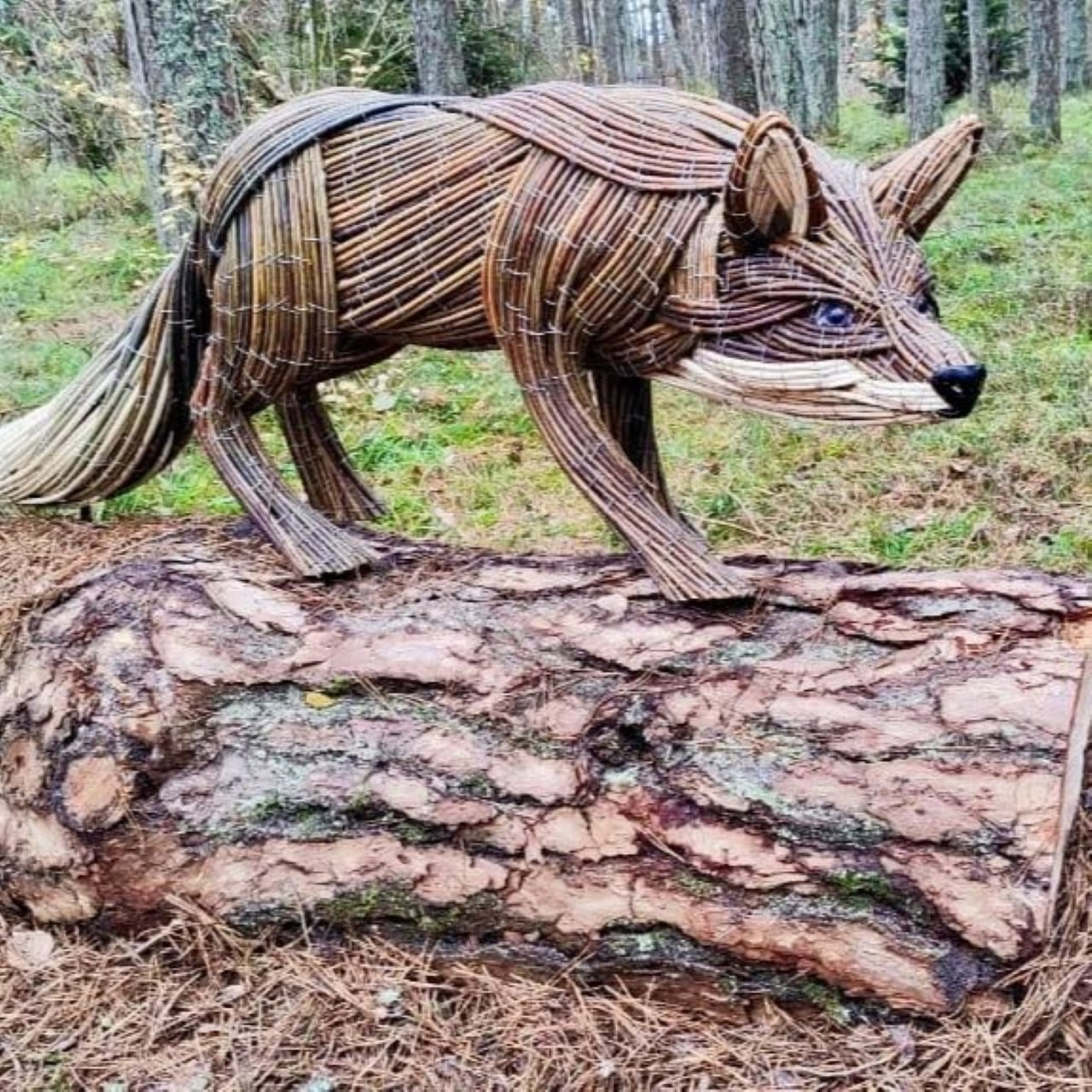 На территории визит-центра национального парка «Куршская коса» появился новый арт-объект — лисица На территории визит-центра национального парка «Куршская коса» появился новый арт-объект — лисица