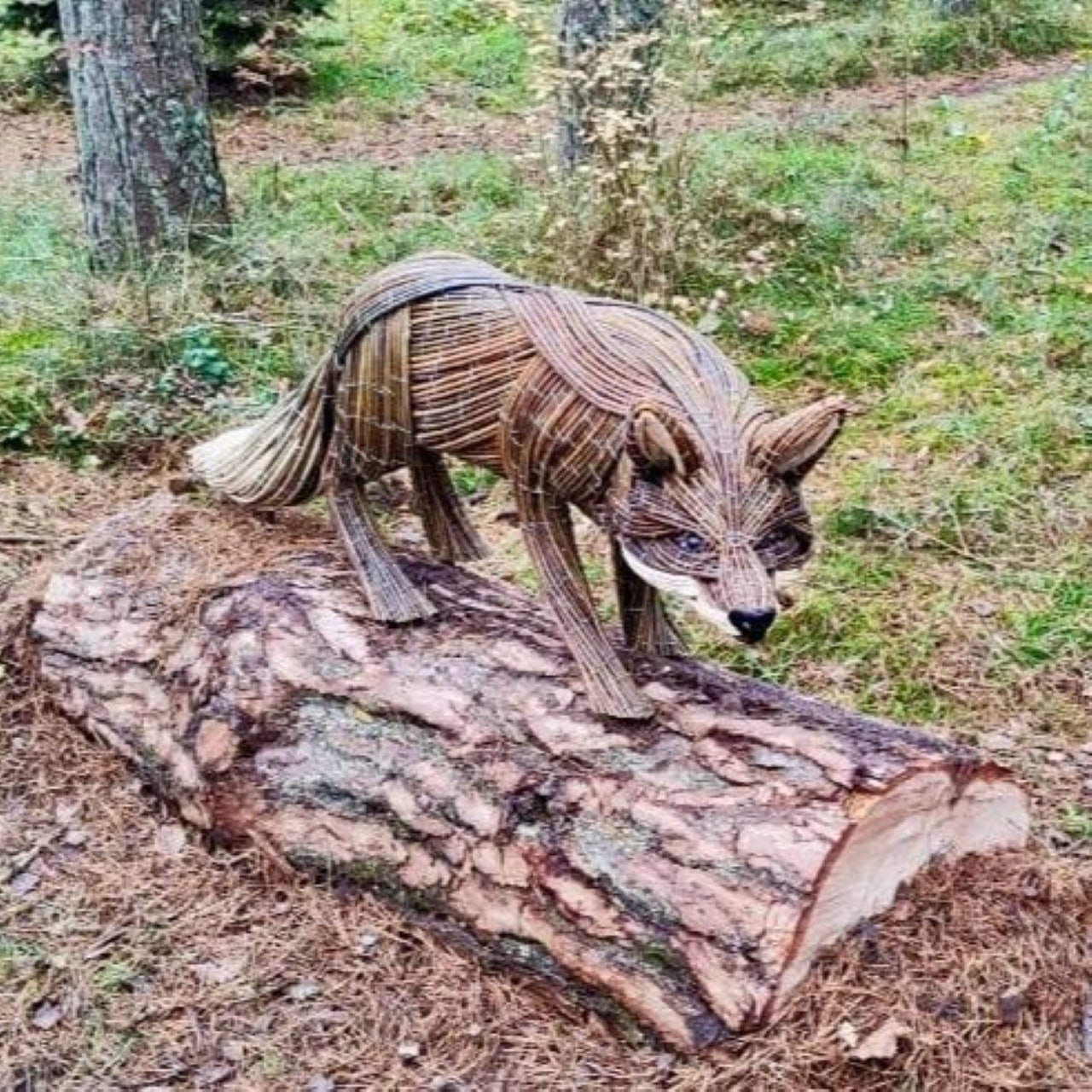 На территории визит-центра национального парка «Куршская коса» появился новый арт-объект — лисица На территории визит-центра национального парка «Куршская коса» появился новый арт-объект — лисица