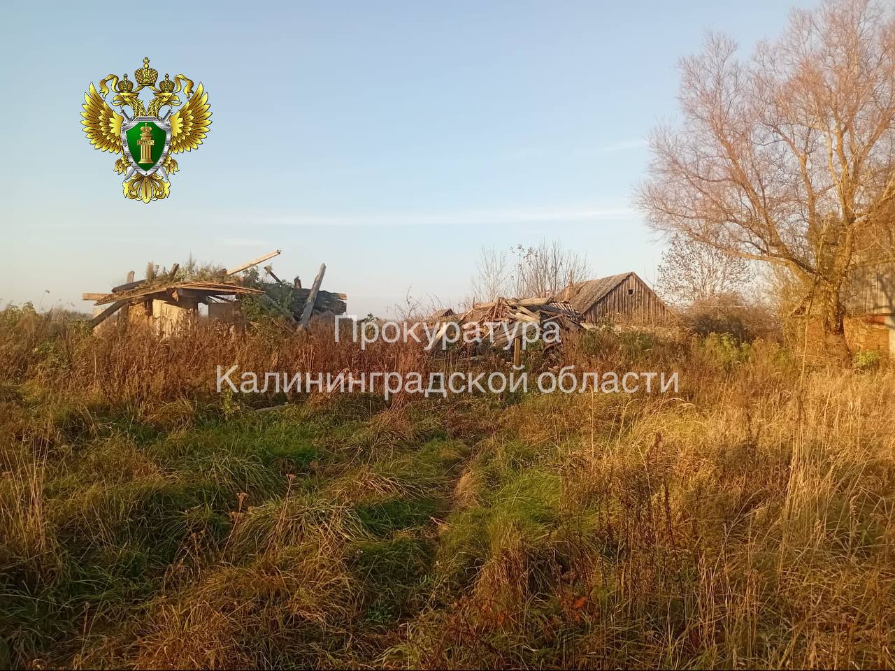 Прокуратура Правдинского района защитила права троих несовершеннолетних, оставшихся без попечения родителей