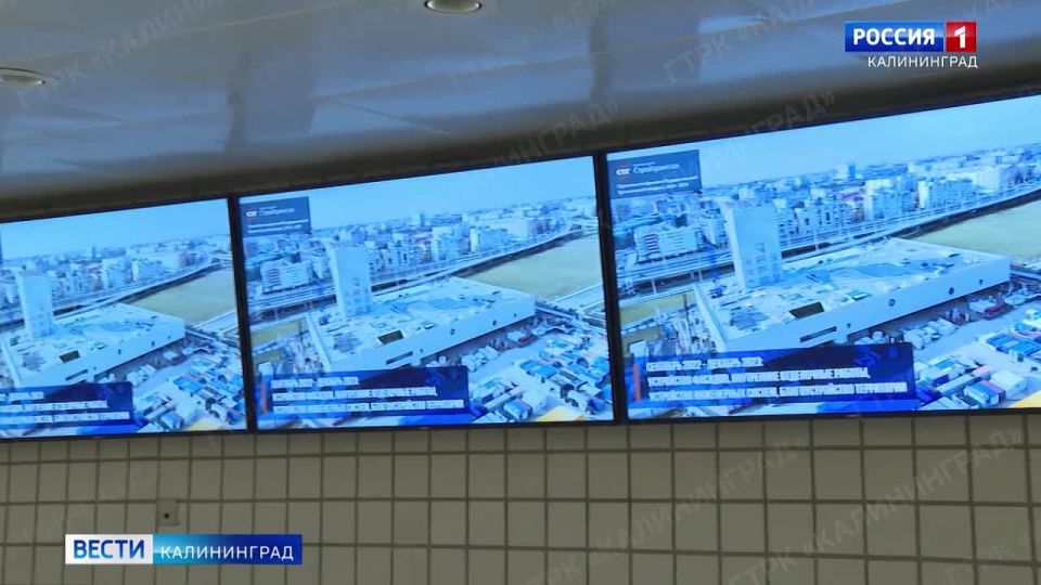 В калининградской Третьяковской галерее сегодня стартует художественно-экологический проект — он станет первым в новом цикле экспозиций «Скульптура в Атриуме»