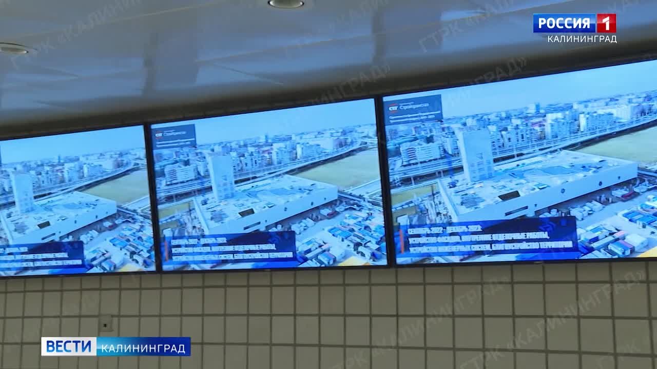 В калининградской Третьяковской галерее сегодня стартует художественно-экологический проект — он станет первым в новом цикле экспозиций «Скульптура в Атриуме»