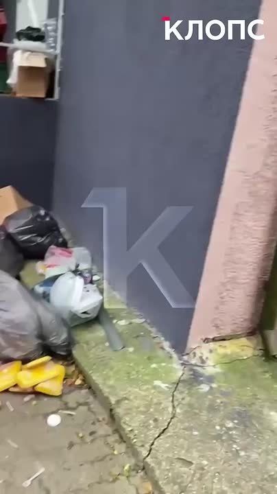 ������ � ������ �����!�: ��� ������ ������ ���� � ������������ ���������� ���������