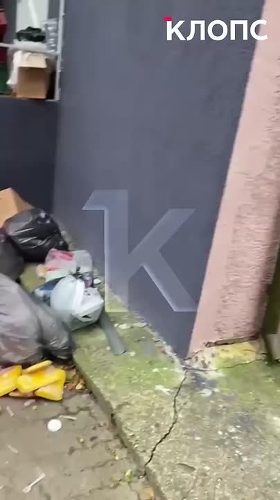 «Запах — просто жесть!»: под окнами жилого дома в Калининграде складируют просрочку