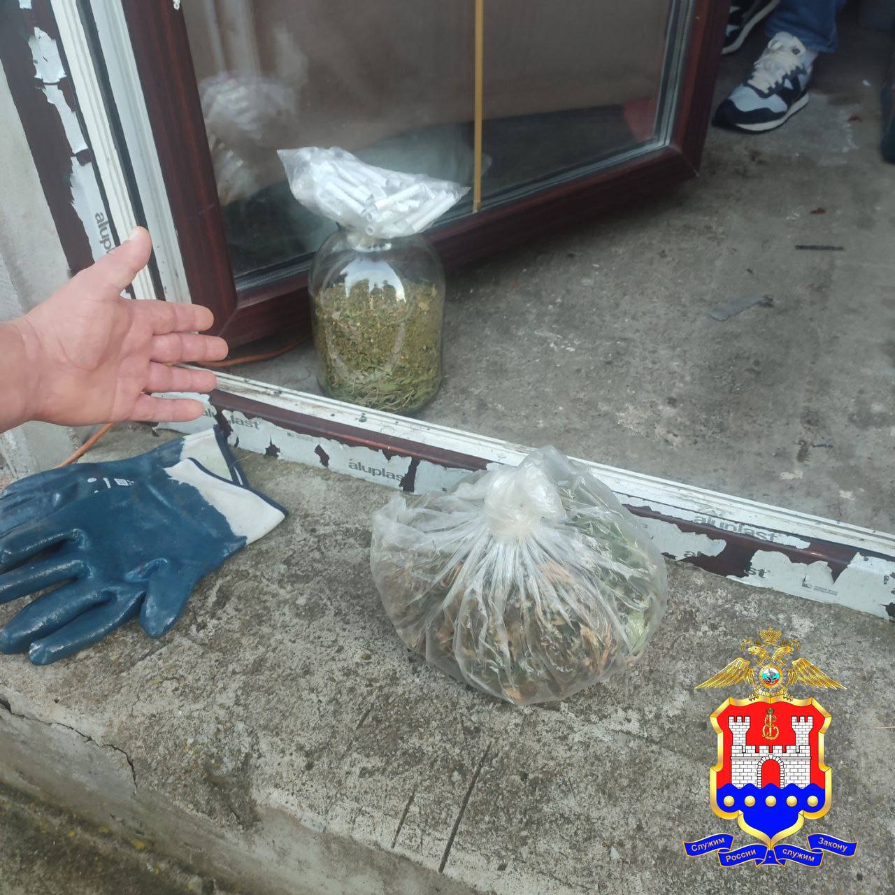 Наркополицейские изъяли у жителя Гурьевского района более 350 граммов каннабиса Наркополицейские изъяли у жителя Гурьевского района более 350 граммов каннабиса