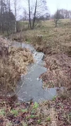 Так шумит ручей в Виштынецком национальном парке
