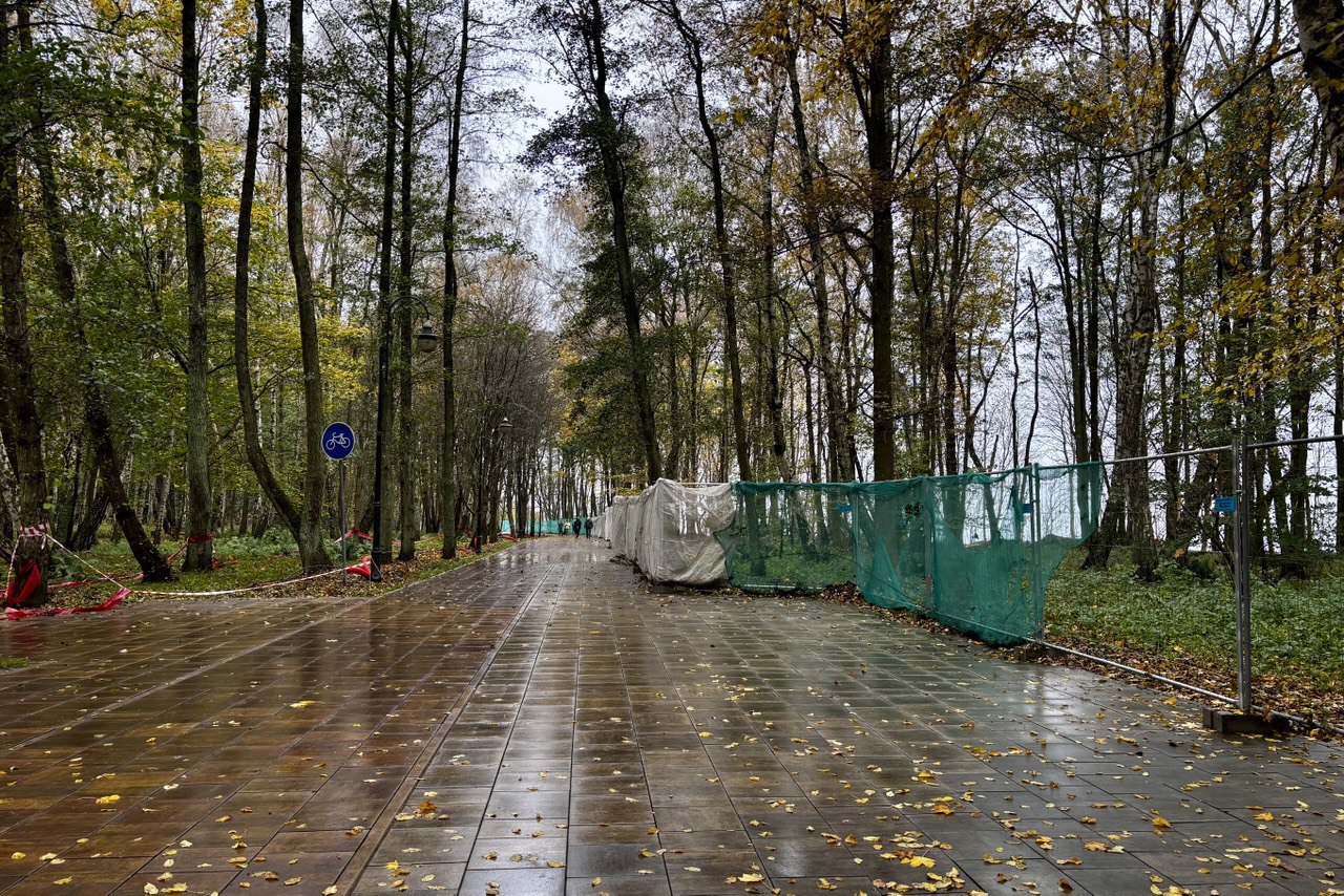 «Тропинки над морем»: в Светлогорске завершают благоустройство новой части парка «Времена года»