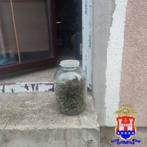Наркополицейские изъяли у жителя Гурьевского района более 350 граммов каннабиса