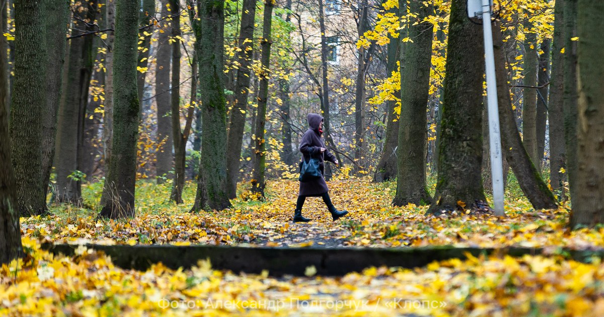В Калининградской области 14 ноября зарядят дожди