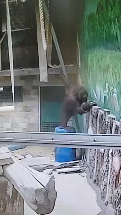 ��������� ������ ������ � �������