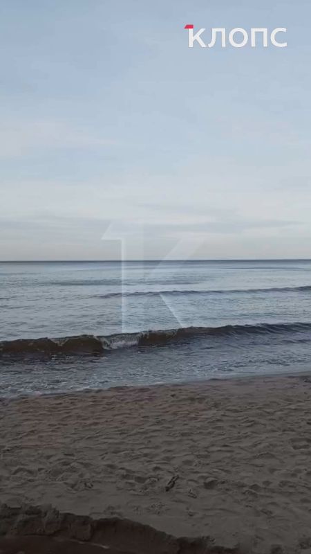 В Филинской бухте в море впадает зловонная речка