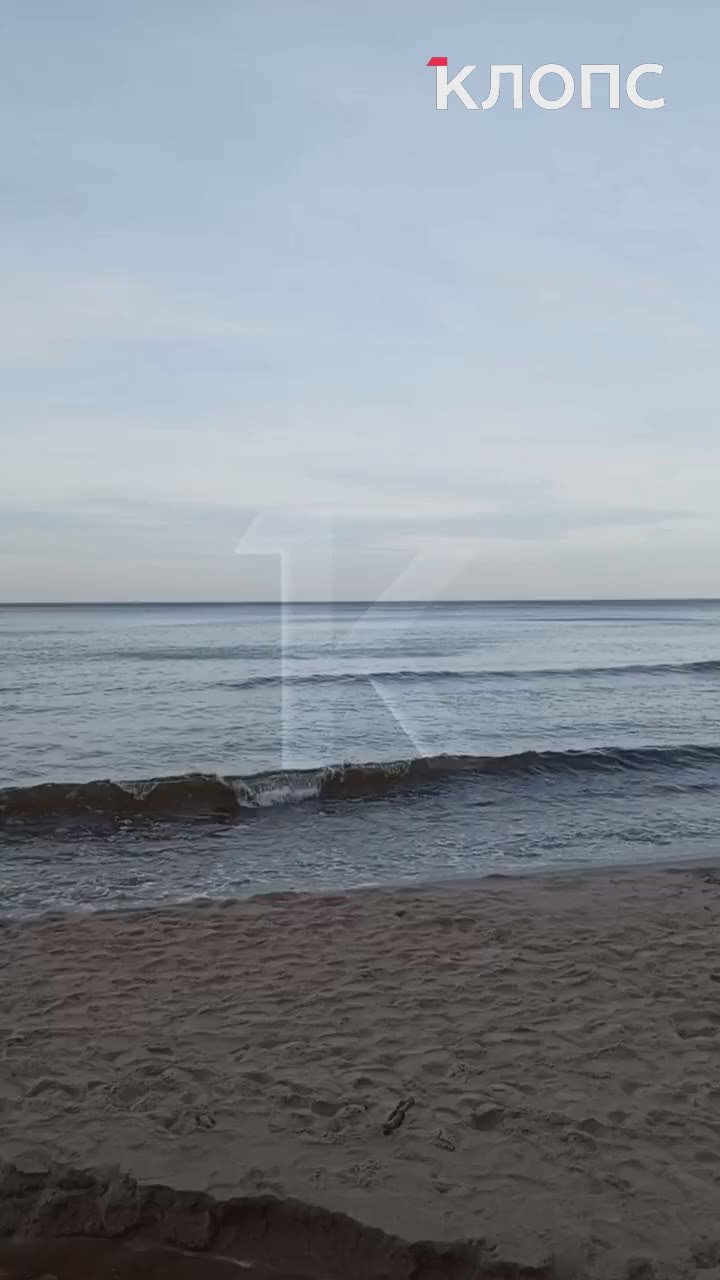 В Филинской бухте в море впадает зловонная речка