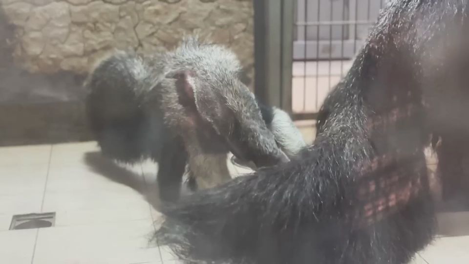 ������� ��������� ����� �� �� ����, � �� �����