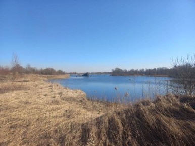 У гражданина отобрали часть берега реки в Медведевке Земля