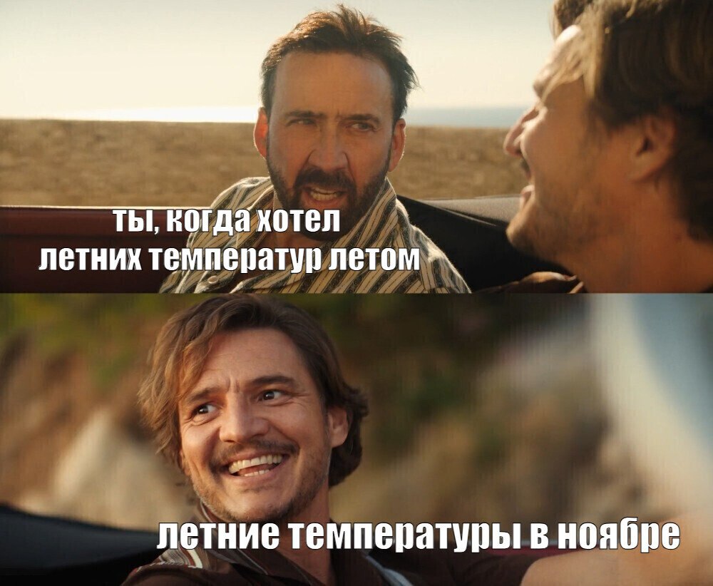 Ночь на пятницу, 14 ноября, решила напомнить калининградцам, как вообще выглядит лето — потому что само лето в этом году забыло