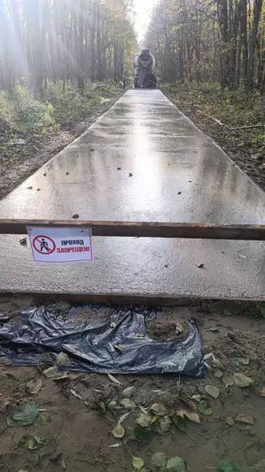 Гости Куршской косы прогулялись по свежему бетону на велодорожке и оставили следы, нацпарк просит так не делать Гости Куршской косы прогулялись по свежему бетону на велодорожке и оставили следы, нацпарк просит так не делать