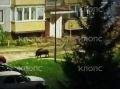 Кабан из Зеленоградска стал звездой соцсетей и героем забавных роликов
