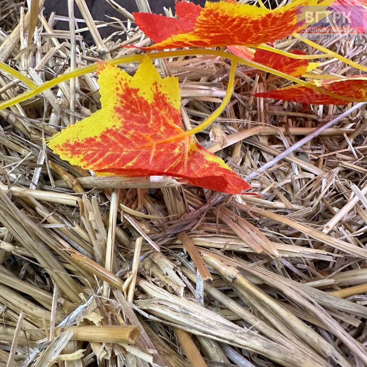 Экватор последнего месяца осени