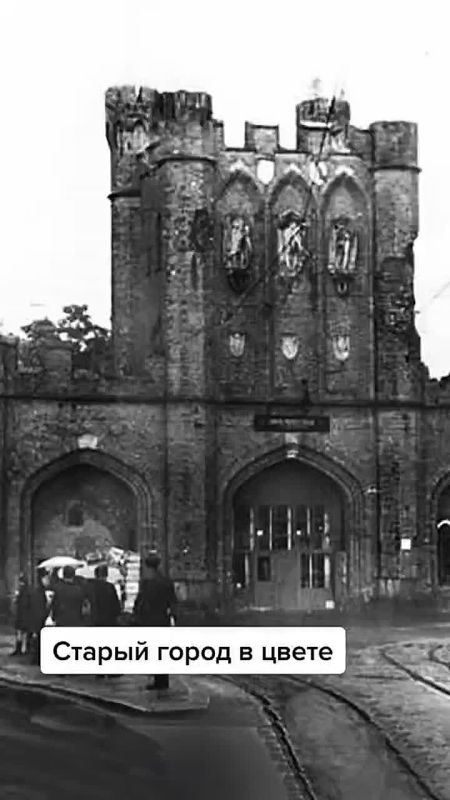 Вау-вау! Наш оператор Артем раскрасил для вас черно-белые фотографии