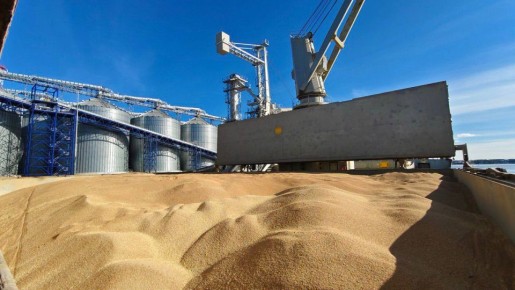 Россия отгрузила в Африку 560 тыс тонн зерна из портов Балтийского моря с начала 2025 года по 12 ноября