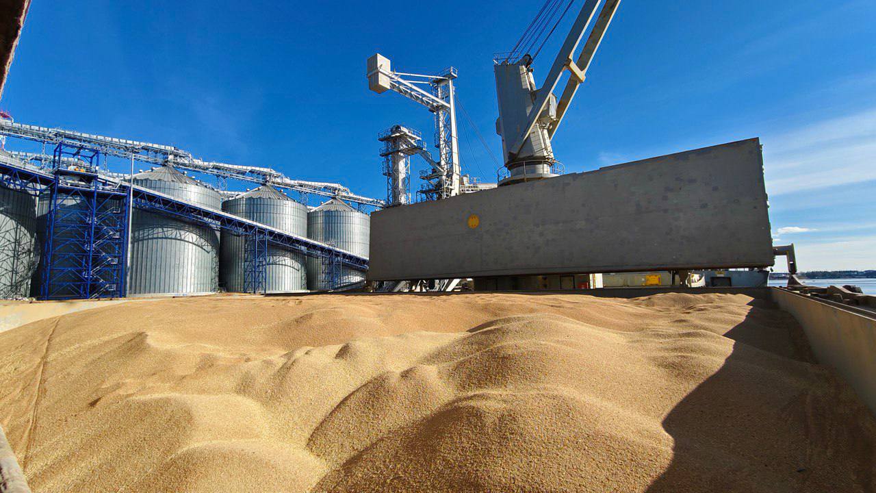 Россия отгрузила в Африку 560 тыс тонн зерна из портов Балтийского моря с начала 2025 года по 12 ноября