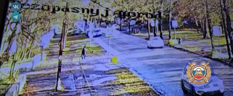   ,15.11.2025  11:15     (2004  )           20         