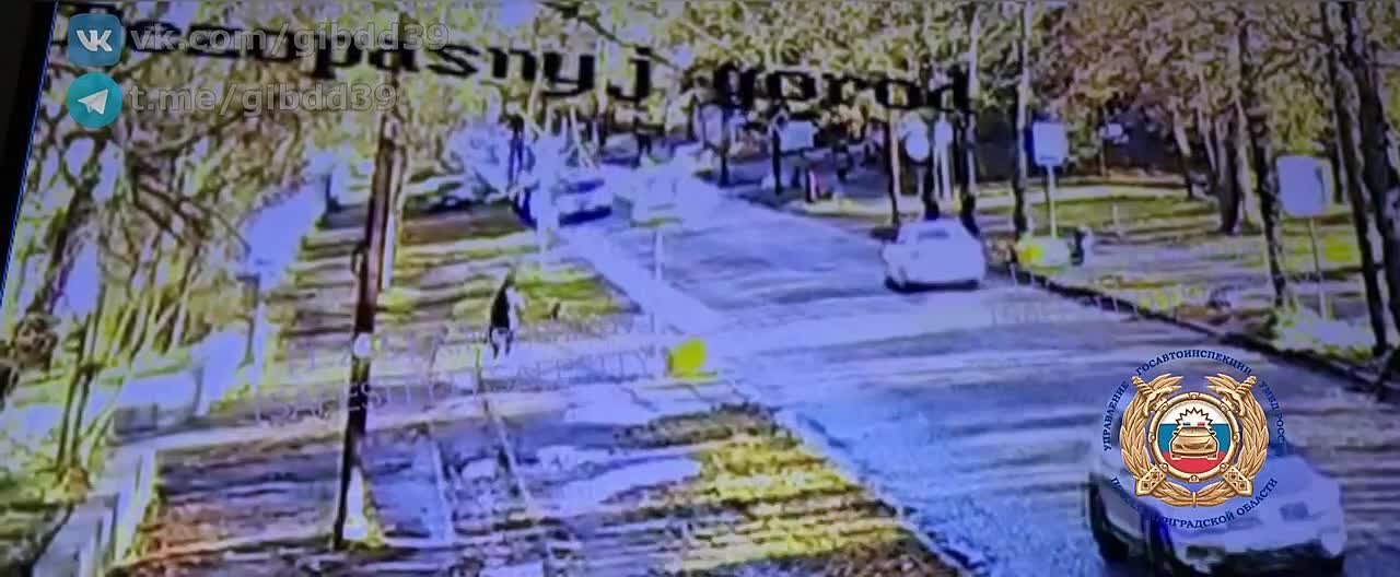 По оперативной информации,15.11.2025 около 11:15 в городе Калининграде водитель (2004 года рождения) автомобиля «Хундай» при выезде на улицу Тельмана в районе дома 20 допустила заезд на тротуар с последующим наездом на дерево