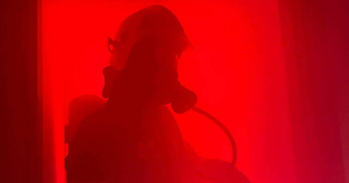 Недавно на прогулке был замечен кот, который на кого-то смотрел Но рядом никого не было видно! Даже стало страшно Недавно на прогулке был замечен кот, который на кого-то смотрел Но рядом никого не было видно! Даже стало страшно